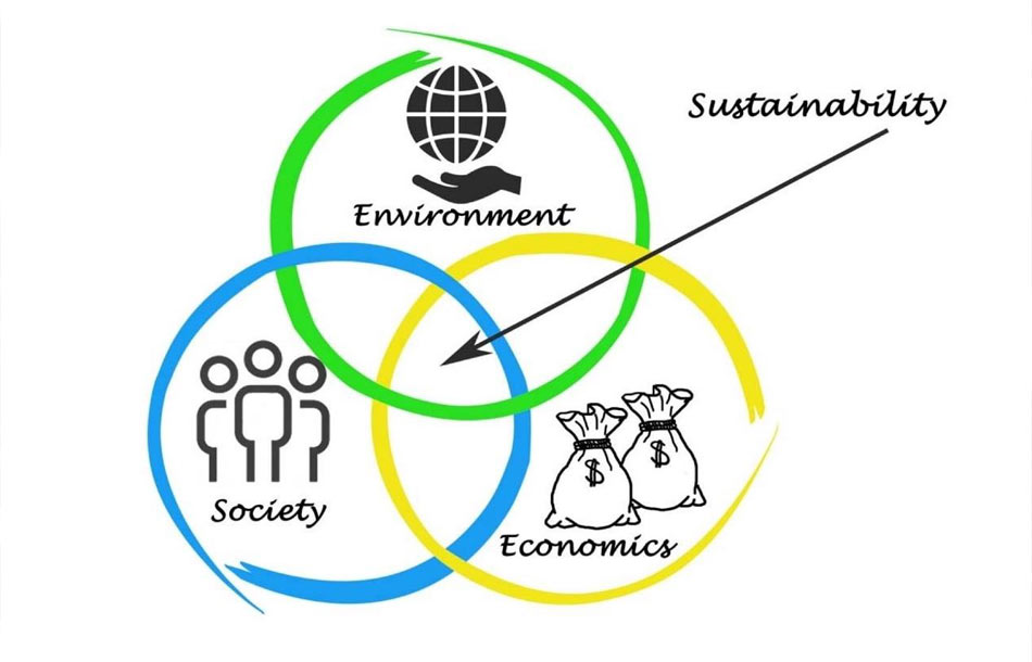 How Business and Executive Coaching Can Help Businesses &amp; Organizations Shift to Sustainable Business Models 